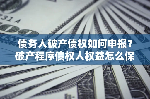 北京债务人破产债权如何申报？破产程序债权人权益怎么保障？