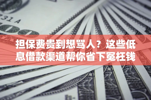北京担保费贵到想骂人？这些低息借款渠道帮你省下冤枉钱