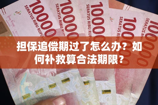 北京担保追偿期过了怎么办？如何补救算合法期限？