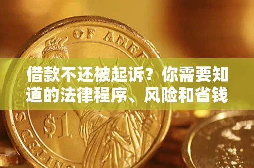 北京借款不还被起诉？你需要知道的法律程序、风险和省钱技巧